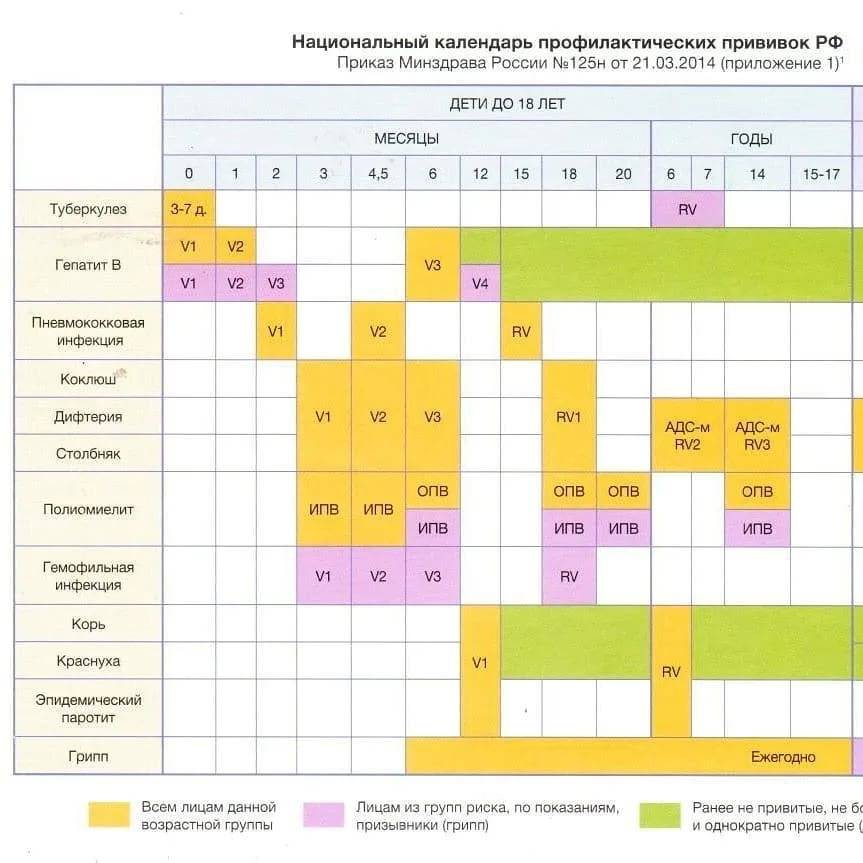 Схема вакцинации детей до года