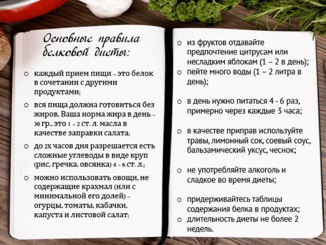 Белковая диета при эко: меню, список продуктов, особенности - dietpick.ru