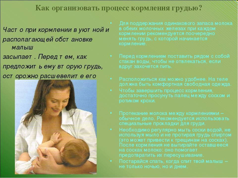 Как бросить кормить грудью (грудным молоком) ребенка + советы маммолога