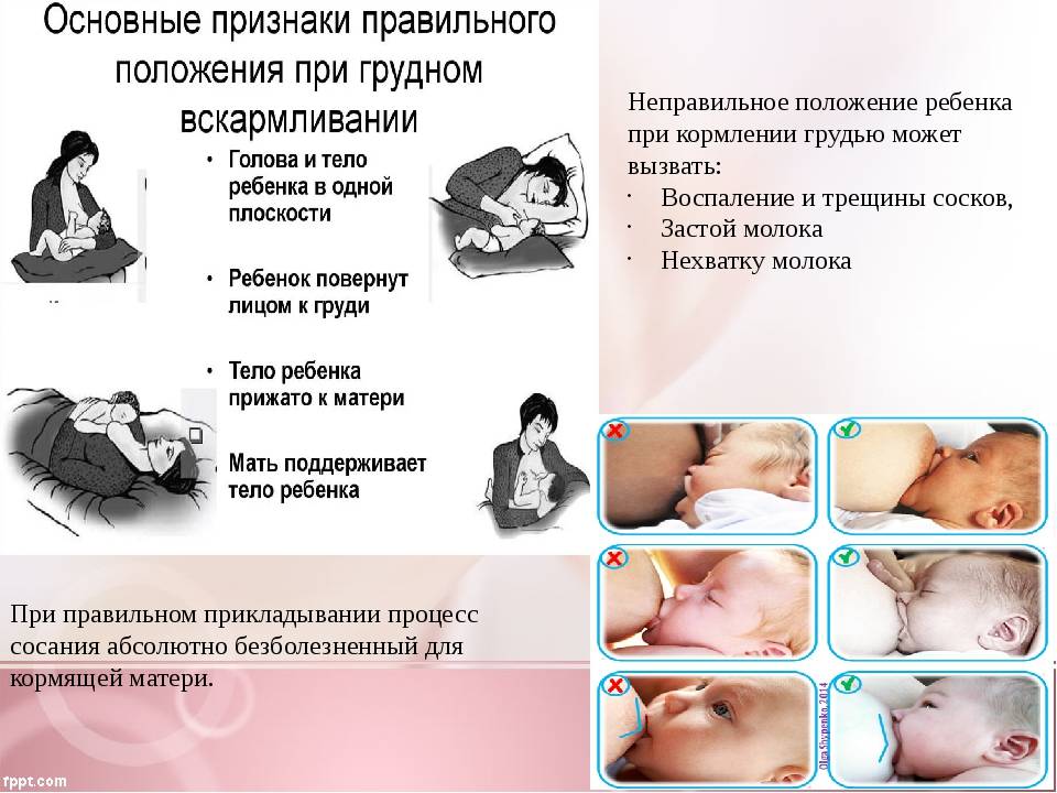 Нужно ли кормить ребенка грудью? преимущества грудного вскармливания для ребенка и матери