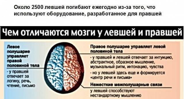 Мозг левши