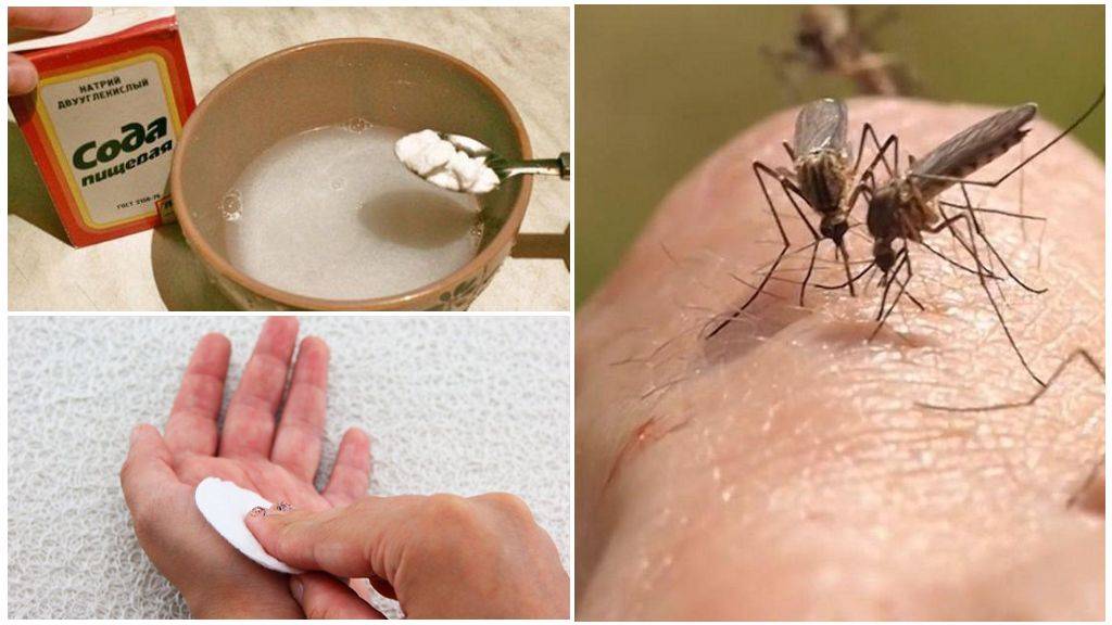 Какую мазь от укусов комаров лучше купить особенности применения, показания и противопоказания