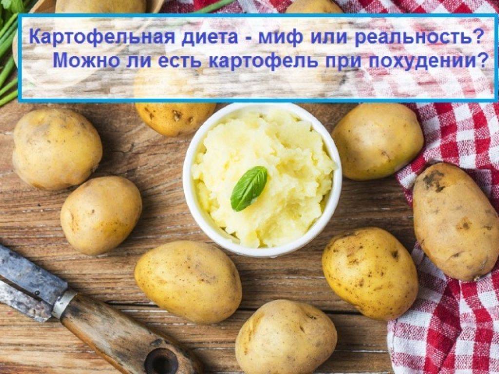 Отварной картофель при грудном вскармливании - мамины новости