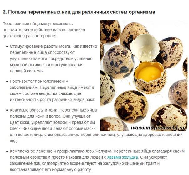 Перепелиные яйца детям: сколько варить, польза, рецепты