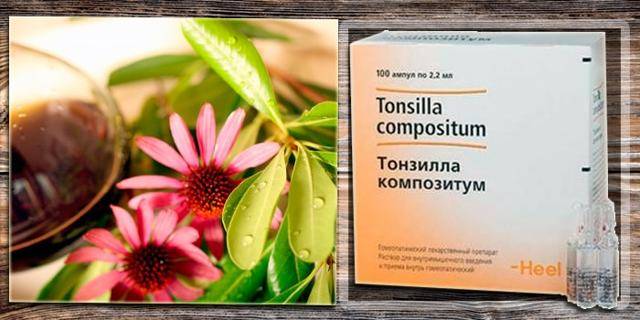 Эхинацея - инструкция по применению, описание, отзывы пациентов и врачей, аналоги