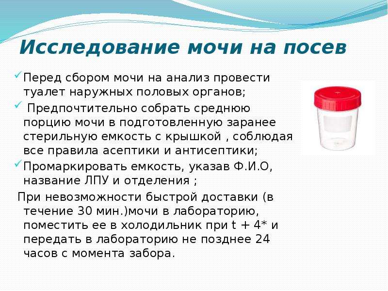 Суточный анализ мочи