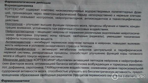 Можно выпить укол. Цефтриаксон побочные действия у взрослых женщин. Цефтриаксон побочные эффекты у женщин. Уколы кортексин и пить таблетки. Кортексин уколы побочные действия.