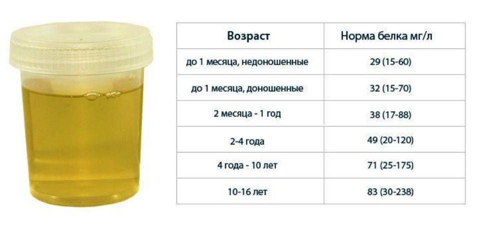 Нормы анализов