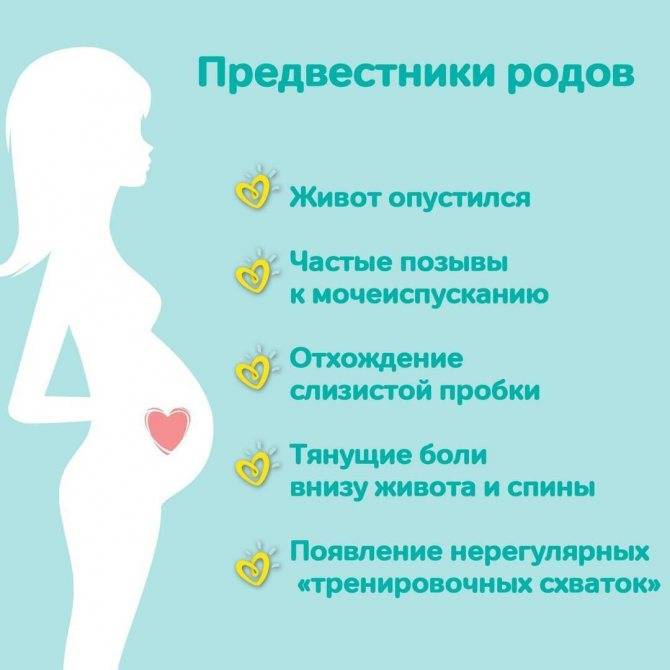 ᐉ могут ли ложные схватки перейти в настоящие. отслеживаем родовые схватки. как начинаются настоящие схватки при беременности - ➡ sp-kupavna.ru