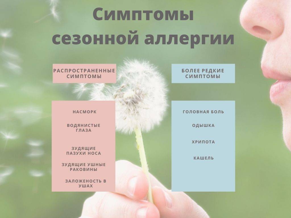 Аллергия на пыльцу (сенная лихорадка) – симптомы, лечение, советы  - причины, диагностика и лечение