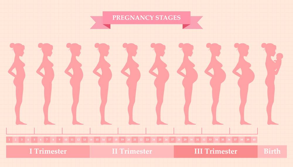 Третья беременность: как не споткнуться на проторённом пути