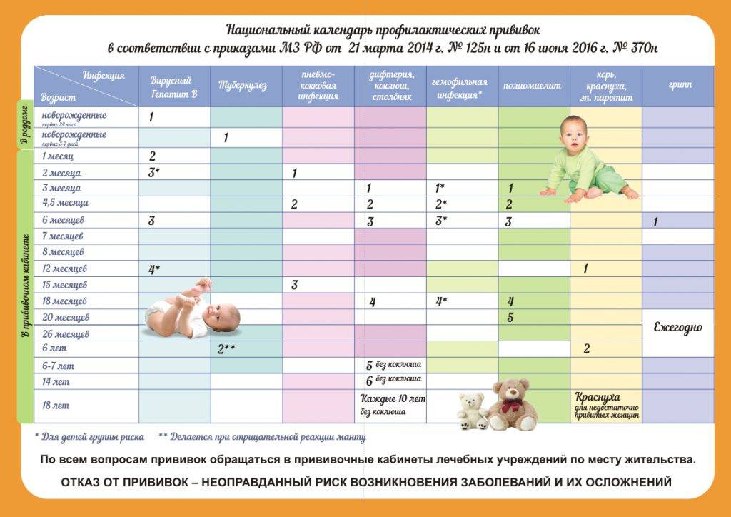 Календарь прививок для детей до 1 года в 2021 году: график по месяцам