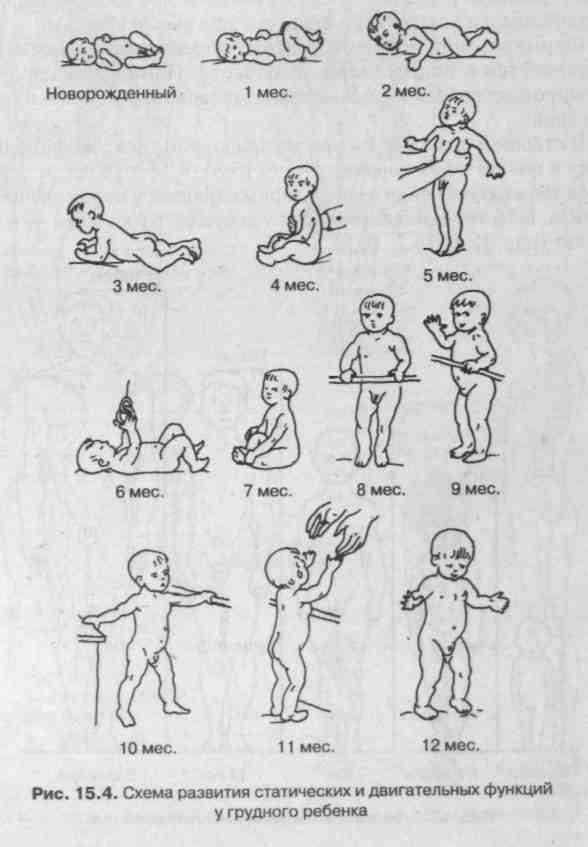 Развивающая гимнастика: комплекс упражнений для грудничка