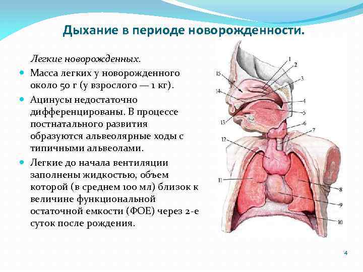 Ребенок высовывает язык? ждите нарушение прикуса