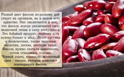 Можно ли фасоль кормящей маме: свойства и ценность фасоли для лактации