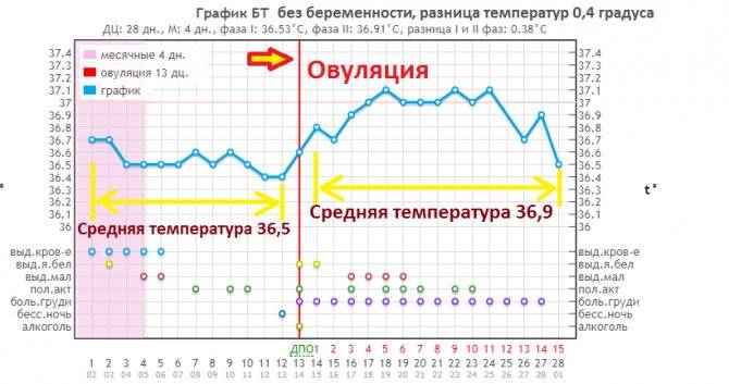 Температура тела 36 2 при беременности - don-massazhio.ru