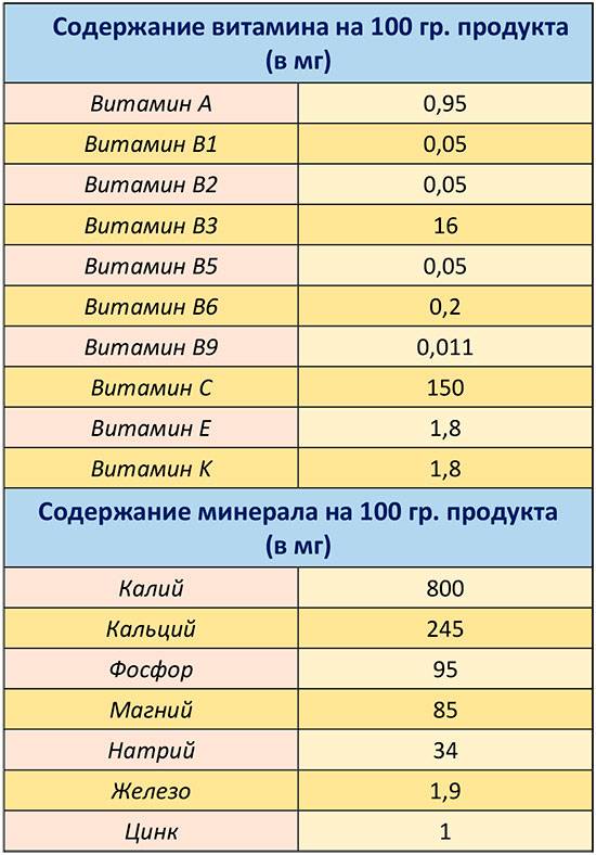 Топ-10 глистогонных препаратов - рейтинг хороших средств 2021