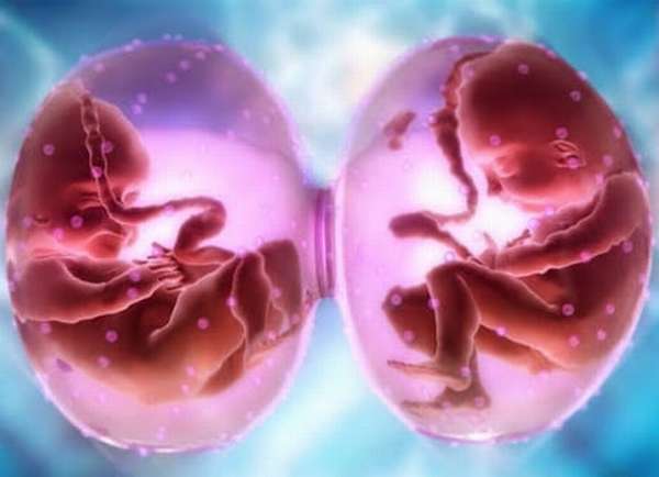 Редукция эмбрионов: методика, противопоказания, результаты