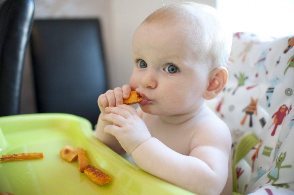 Как научить ребенка жевать твердую пищу: способы и советы доктора комаровского
