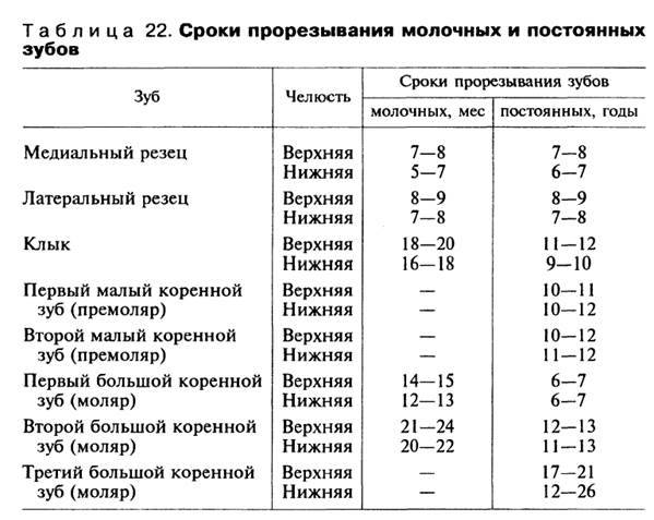 Порядок прорезывания зубов у детей: схема прорезывания молочных и постоянных зубов
