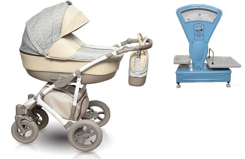 Лучшие коляски для новорожденных — фото самых удобных и много функциональных экземпляров