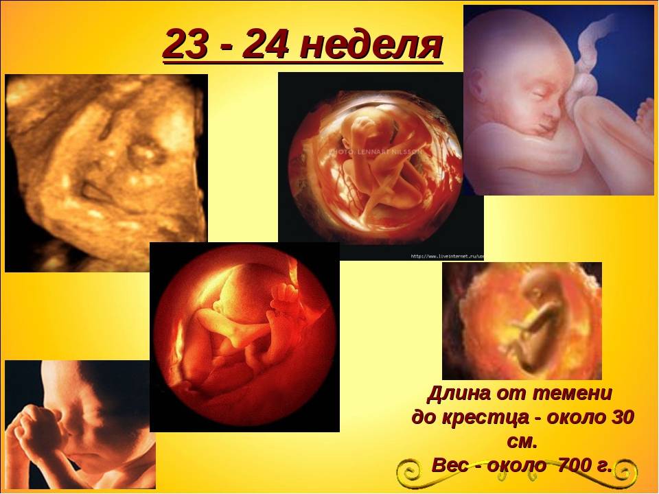 23 неделя беременности: что происходит с малышом и мамой | боли, вес плода, шевеления
