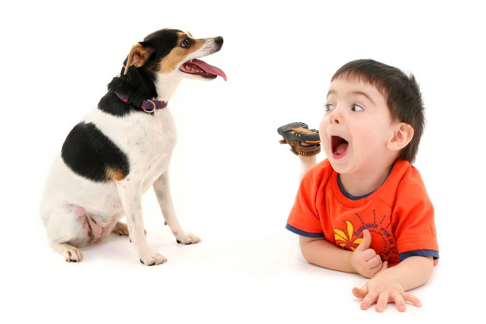 Ребенок просит собаку