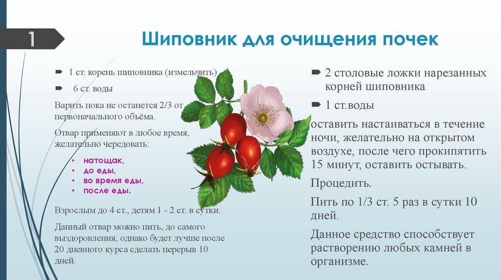 Кандидоз - симптомы, причины развития, лечение