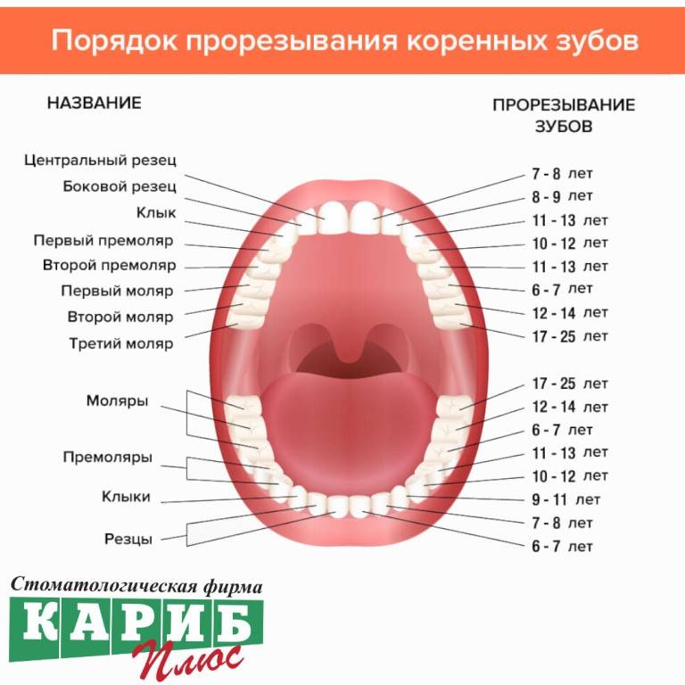 Болезни молочных зубов: причины, виды заболеваний зубов и способы лечения
