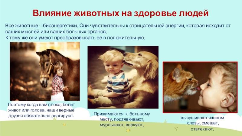 Ребенок и домашние животные: плюсы и минусы