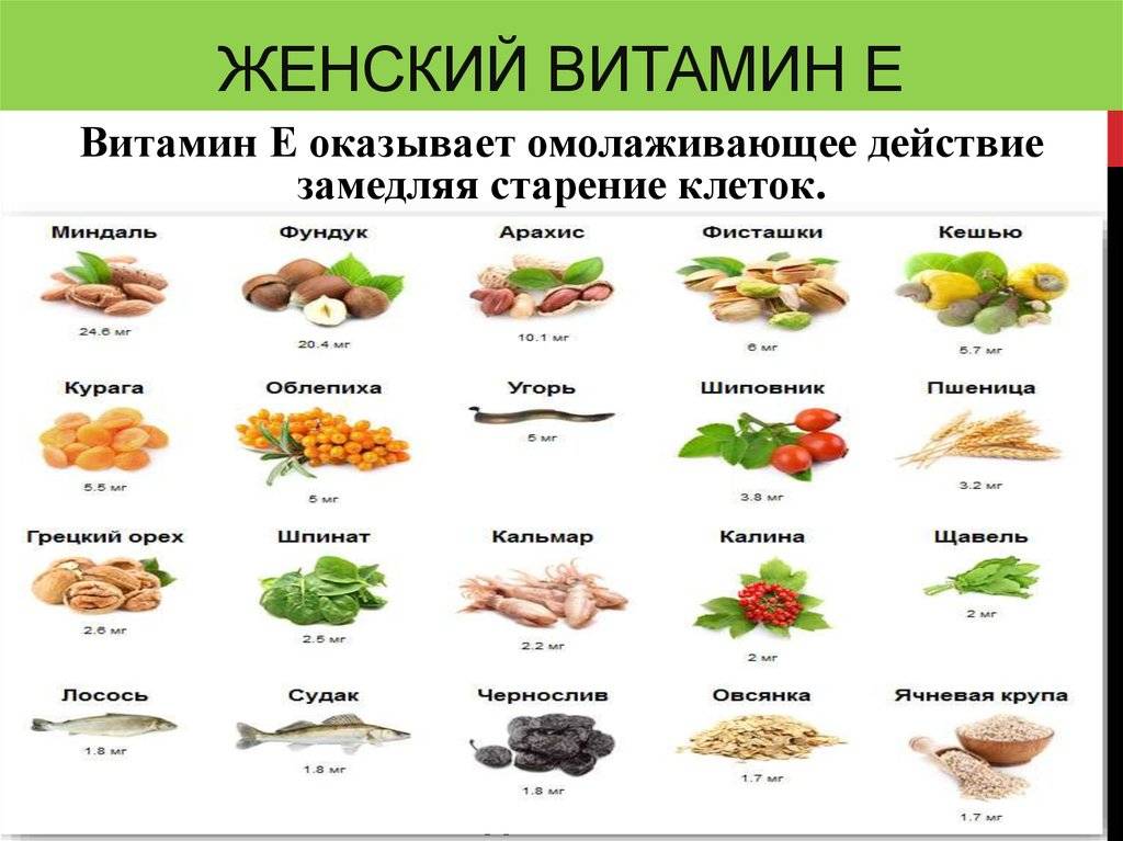 Витамин е (токоферол). источники витамина e. какие продукты содержат витамин e. витамины и организм