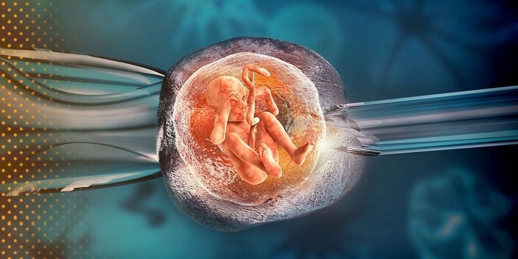 Сколько эмбрионов подсаживают при эко