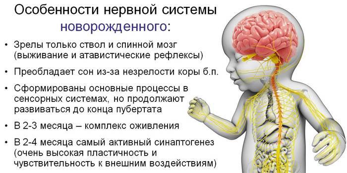 Ээг в детском возрасте – важное исследование работы коры головного мозга