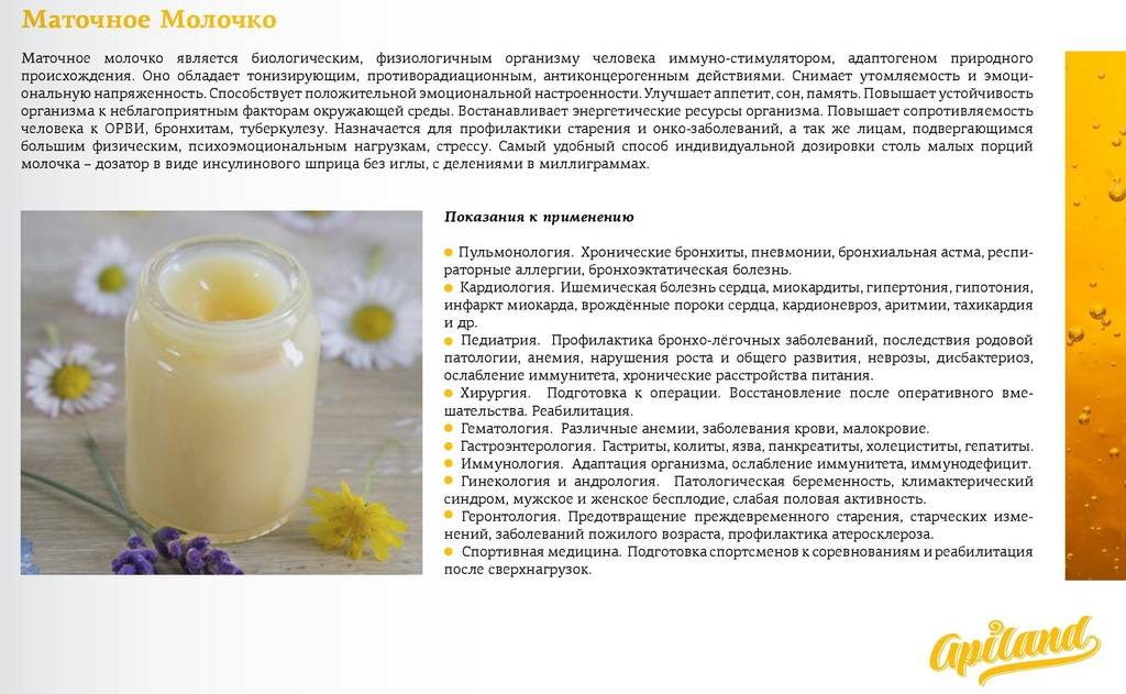 Пчелиное маточное молочко: полезные свойства для мужчин и женщин и применение в косметике и косметологии