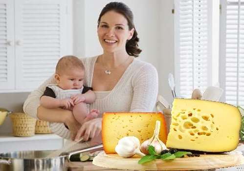 Сыр кормящей маме. Твердый сыр для грудного вскармливания. Мама и сыр. Полезные мелочи и аксессуары для кормящей мамы. Сыр для кормящей мамы.