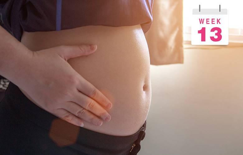 Двенадцатая неделя беременности акушерская: что происходит, фото живота, узи плода, советы специалистов