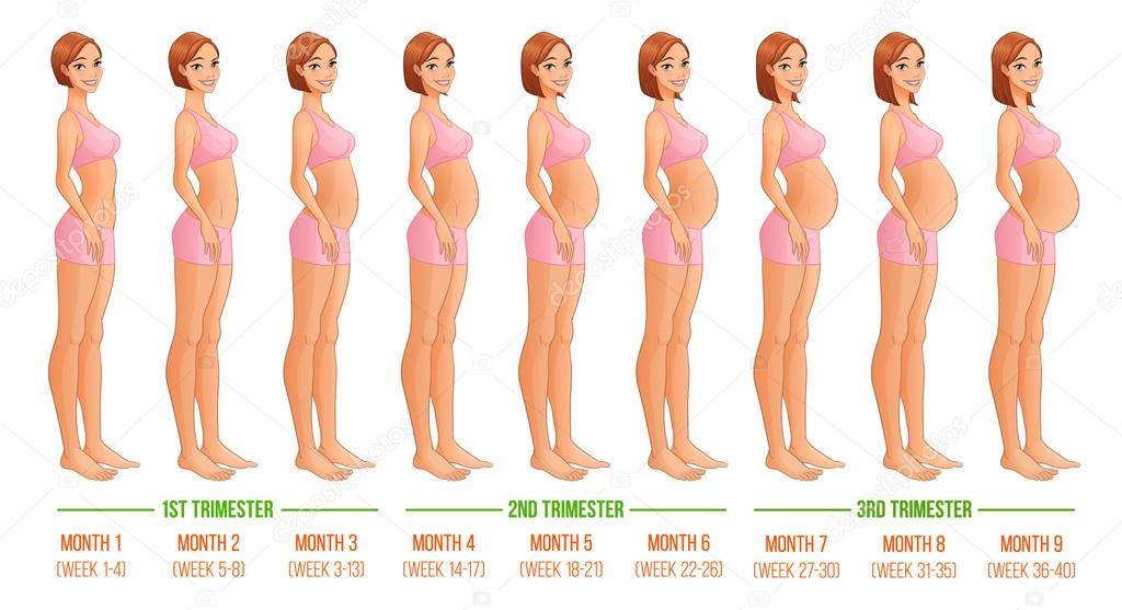 На каком сроке начинает набухать молочные железы при беременности