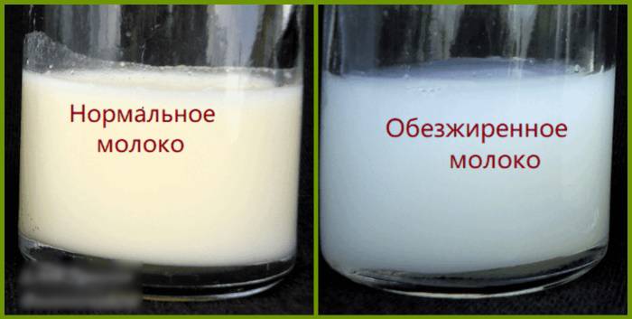 Что сделать, чтобы грудное молоко стало жирным?