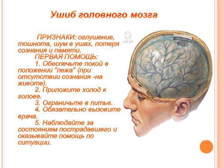 Черепно-мозговые травмы, сотрясение мозга, ушиб мозга. симптомы, последствия и лечение.