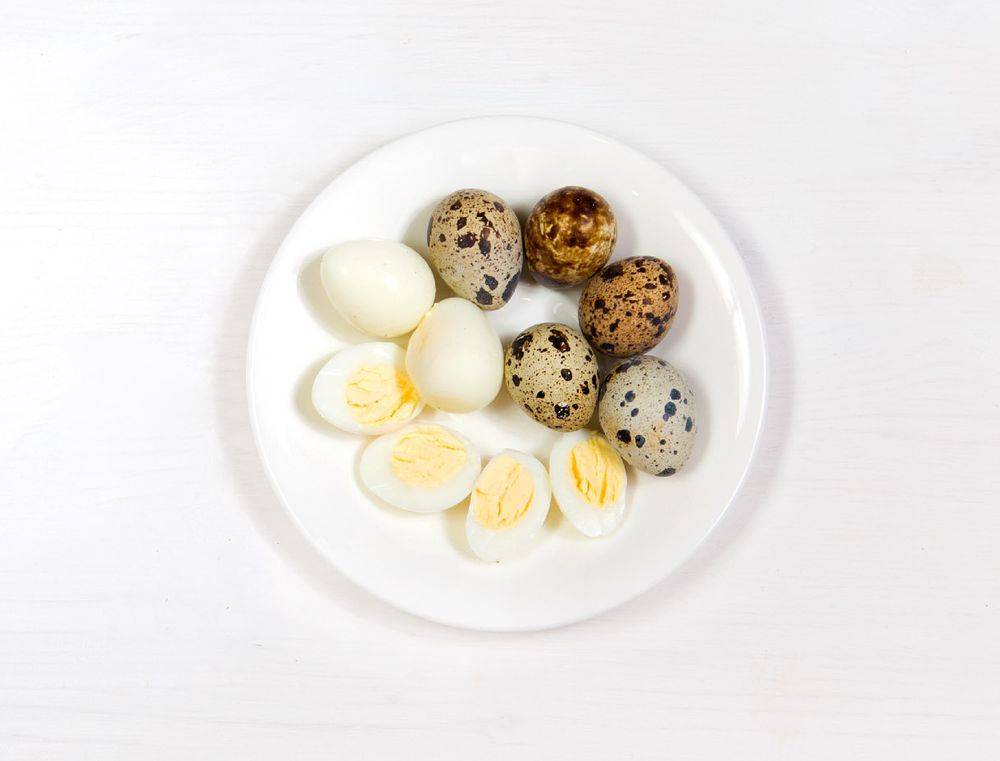 Зачем нужны перепелиные яйца для детей, как давать?