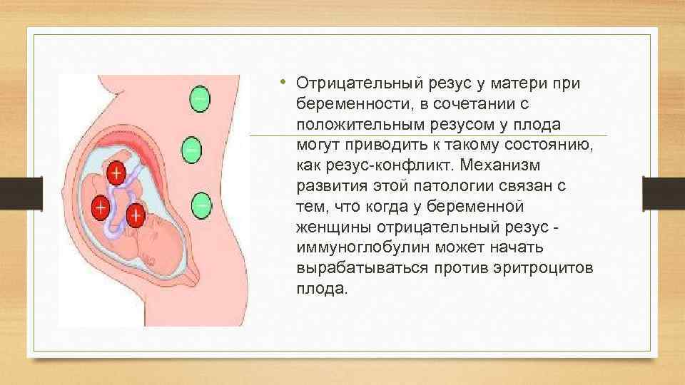 Иммуноглобулин при беременности. влияние иммуноглобулина на плод