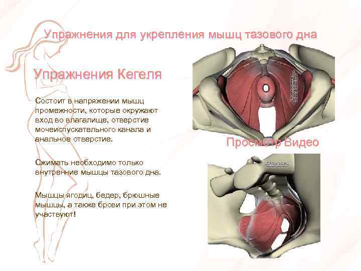 Тренировки при дисфункции мышц тазового дна | kinesiopro