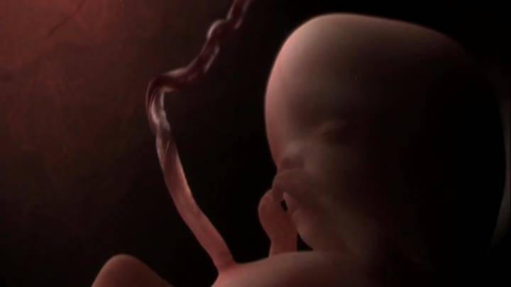 Видеогид по беременности в 40 недель: жизнь до рождения по неделям и подробное описание