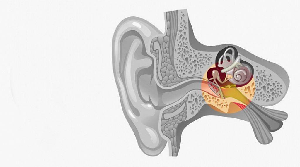 Острые воспалительные и инфекционные заболевания среднего уха - острый тубоотит: причины, симптоматика, медицинская помощь, лечение в москве