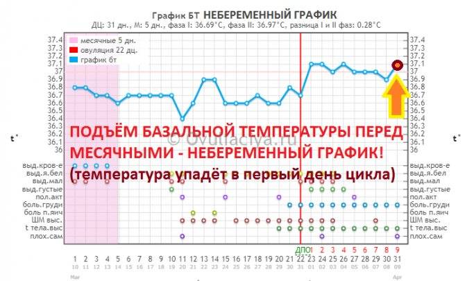 Месячные базальная температура 37