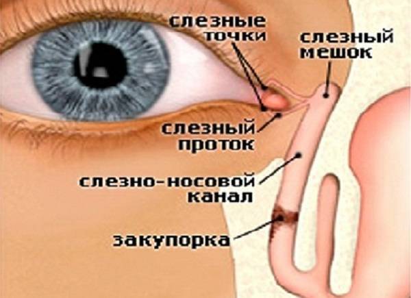Заболевания