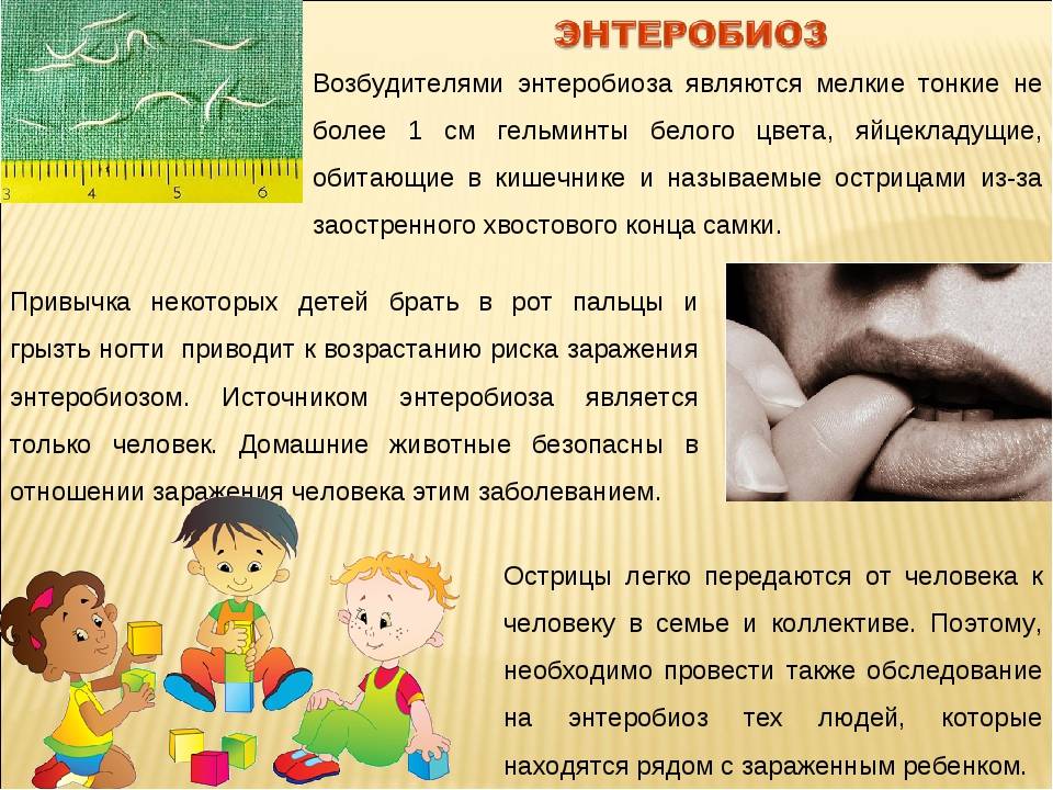 Энтеробиоз у детей - полезные статьи отделения педиатрии ао «медицина» (клиника академика ройтберга)