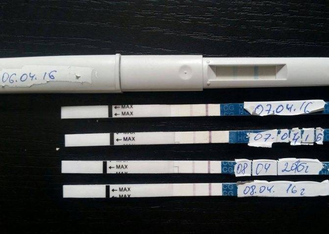 Причины задержки месячных при отрицательном тесте на беременность (19 фото): 1 полоска на тесте на беременность – почему показывает отсутствие беременности