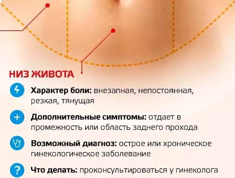 Тянет низ живота после месячных – причины тянущих болей внизу живота после менструации — медицинский женский центр в москве