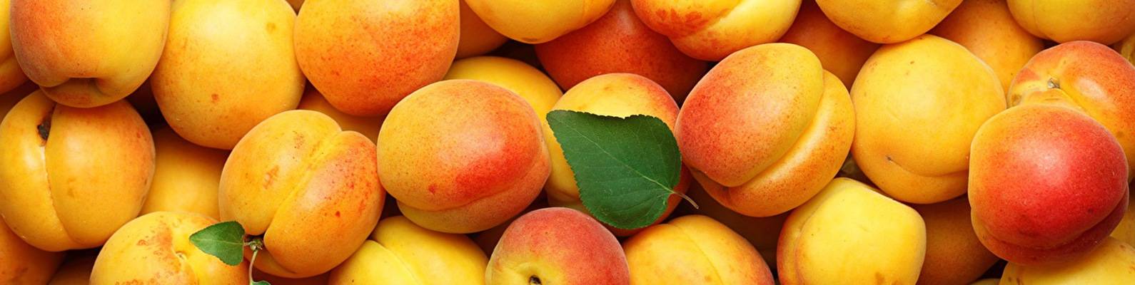 Курага при гв: можно ли есть курагу кормящей маме?